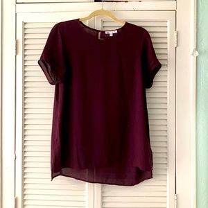 DR2 Sheer Short Sleeve Blouse Sz S ☺️